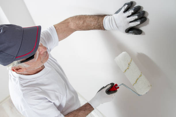 Best Mold Odor Removal Services  in West Point, MS