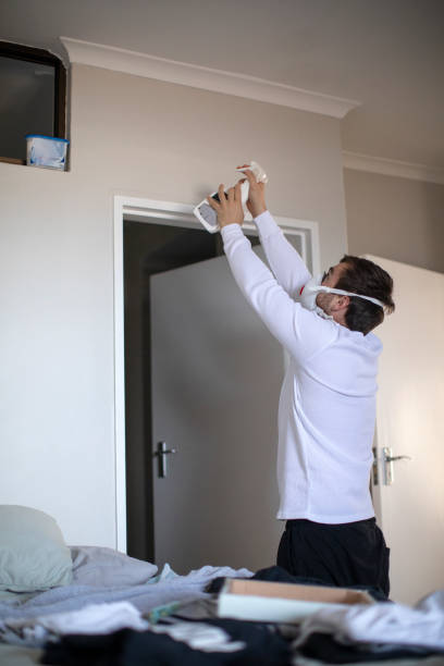 Best Mold Remediation for Healthcare Facilities  in West Point, MS
