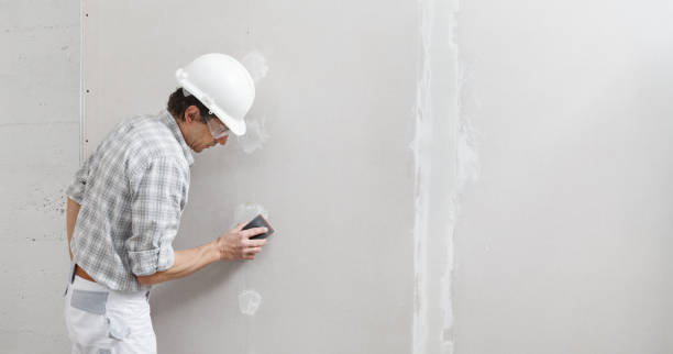 Best Emergency Mold Remediation  in West Point, MS