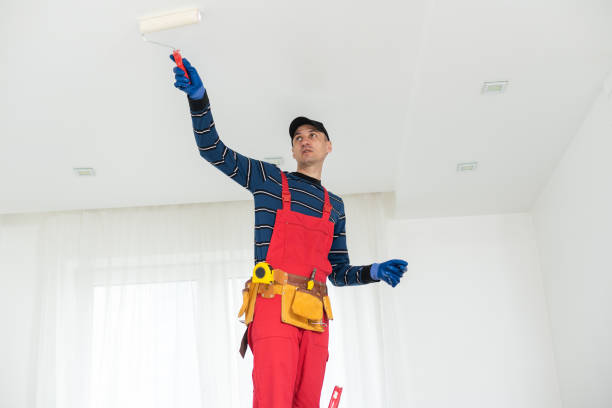 Best Real Estate Mold Inspection  in West Point, MS
