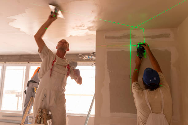 Best Attic Mold Removal  in West Point, MS