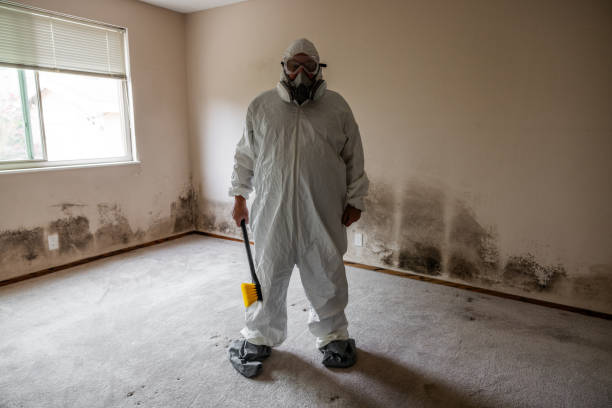 Best Environmental Consulting for Mold Prevention  in West Point, MS
